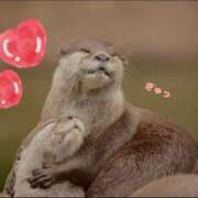 ヒメ日記 2025/07/13 10:40 投稿 蝶野　すみれ 昼下がりの情事