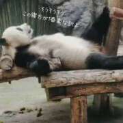 ヒメ日記 2025/07/27 11:30 投稿 蝶野　すみれ 昼下がりの情事