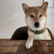 ヒメ日記 2025/07/31 10:40 投稿 蝶野　すみれ 昼下がりの情事