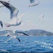 ヒメ日記 2025/08/21 10:40 投稿 蝶野　すみれ 昼下がりの情事