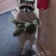 ヒメ日記 2025/08/26 10:40 投稿 蝶野　すみれ 昼下がりの情事