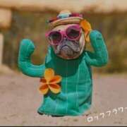 ヒメ日記 2025/09/04 10:40 投稿 蝶野　すみれ 昼下がりの情事