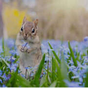 ヒメ日記 2025/09/06 11:10 投稿 蝶野　すみれ 昼下がりの情事