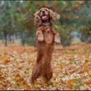 ヒメ日記 2025/09/20 10:40 投稿 蝶野　すみれ 昼下がりの情事