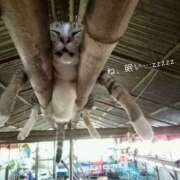 ヒメ日記 2025/10/02 10:10 投稿 蝶野　すみれ 昼下がりの情事