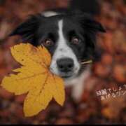 ヒメ日記 2025/10/15 10:40 投稿 蝶野　すみれ 昼下がりの情事