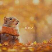 ヒメ日記 2025/11/03 10:40 投稿 蝶野　すみれ 昼下がりの情事