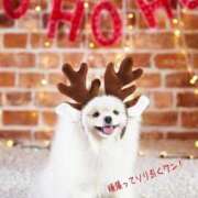 ヒメ日記 2025/12/16 10:40 投稿 蝶野　すみれ 昼下がりの情事