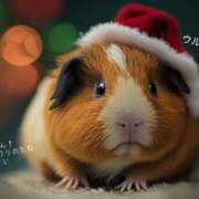 ヒメ日記 2025/12/20 10:50 投稿 蝶野　すみれ 昼下がりの情事