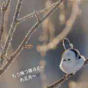 ヒメ日記 2025/12/27 11:10 投稿 蝶野　すみれ 昼下がりの情事