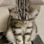 ヒメ日記 2025/12/29 10:40 投稿 蝶野　すみれ 昼下がりの情事