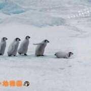 ヒメ日記 2026/01/12 10:40 投稿 蝶野　すみれ 昼下がりの情事