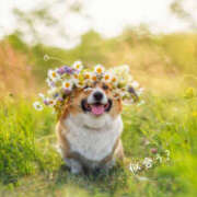 ヒメ日記 2026/02/23 10:40 投稿 蝶野　すみれ 昼下がりの情事