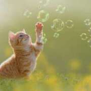 蝶野　すみれ 小春日和🌷🐝 昼下がりの情事