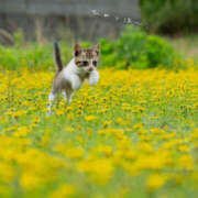 ヒメ日記 2026/04/07 10:40 投稿 蝶野　すみれ 昼下がりの情事