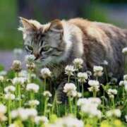 ヒメ日記 2026/04/18 11:40 投稿 蝶野　すみれ 昼下がりの情事