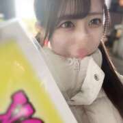 ヒメ日記 2025/01/19 01:19 投稿 ゆめあ みつばちマーヤZ