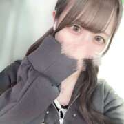 ヒメ日記 2025/04/27 01:40 投稿 ゆめあ みつばちマーヤZ