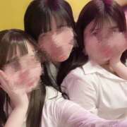 ヒメ日記 2025/06/01 01:46 投稿 ゆめあ みつばちマーヤZ