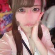 ヒメ日記 2025/06/16 01:57 投稿 ゆめあ みつばちマーヤZ