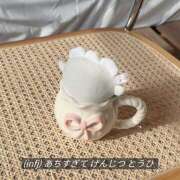 ヒメ日記 2025/07/14 01:20 投稿 ゆめあ みつばちマーヤZ