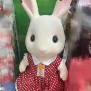 ヒメ日記 2025/07/19 01:27 投稿 ゆめあ みつばちマーヤZ