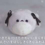 ヒメ日記 2025/09/06 01:20 投稿 ゆめあ みつばちマーヤZ