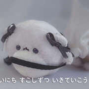 ヒメ日記 2025/10/09 01:38 投稿 ゆめあ みつばちマーヤZ