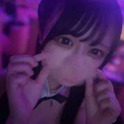 ヒメ日記 2025/10/11 01:45 投稿 ゆめあ みつばちマーヤZ