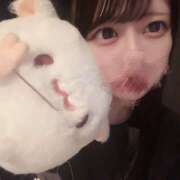 ヒメ日記 2025/10/20 18:24 投稿 ゆめあ みつばちマーヤZ