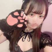 ヒメ日記 2025/10/30 21:43 投稿 ゆめあ みつばちマーヤZ