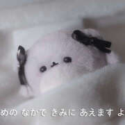 ヒメ日記 2025/11/09 01:24 投稿 ゆめあ みつばちマーヤZ