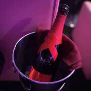 ヒメ日記 2025/11/26 01:31 投稿 ゆめあ みつばちマーヤZ