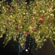 ヒメ日記 2025/12/20 01:32 投稿 ゆめあ みつばちマーヤZ