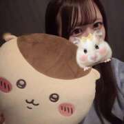 ゆめあ たいきん！✨️ みつばちマーヤZ