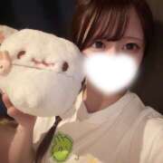 ヒメ日記 2026/05/23 01:28 投稿 ゆめあ みつばちマーヤZ