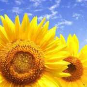 ヒメ日記 2025/07/11 10:22 投稿 ななお 熟女家 十三店