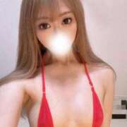 ヒメ日記 2024/12/21 12:25 投稿 りの 若葉