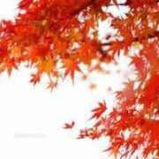 ヒメ日記 2026/10/08 11:16 投稿 糸井厚子 五十路マダムエクスプレス横浜店（カサブランカグループ）