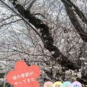 ヒメ日記 2025/03/31 10:26 投稿 はづき セレブクエスト-koshigaya-