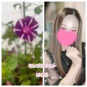 ヒメ日記 2025/08/13 17:18 投稿 はづき セレブクエスト-koshigaya-