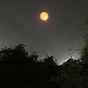 ヒメ日記 2025/09/16 04:29 投稿 はづき セレブクエスト-koshigaya-