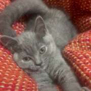 ヒメ日記 2025/10/30 17:43 投稿 はづき セレブクエスト-koshigaya-