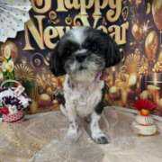 ヒメ日記 2025/01/11 19:06 投稿 そら モアグループ熊谷人妻花壇