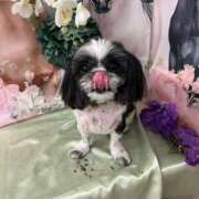 ヒメ日記 2026/03/04 22:31 投稿 そら モアグループ熊谷人妻花壇