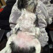 ヒメ日記 2026/03/08 12:07 投稿 そら モアグループ熊谷人妻花壇