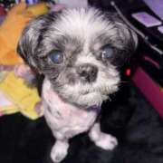 ヒメ日記 2026/03/08 16:43 投稿 そら モアグループ熊谷人妻花壇