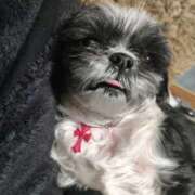 ヒメ日記 2026/03/09 19:07 投稿 そら モアグループ熊谷人妻花壇