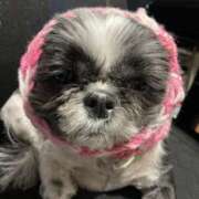 ヒメ日記 2026/03/10 17:17 投稿 そら モアグループ熊谷人妻花壇