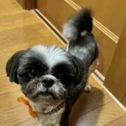 ヒメ日記 2026/03/11 14:16 投稿 そら モアグループ熊谷人妻花壇